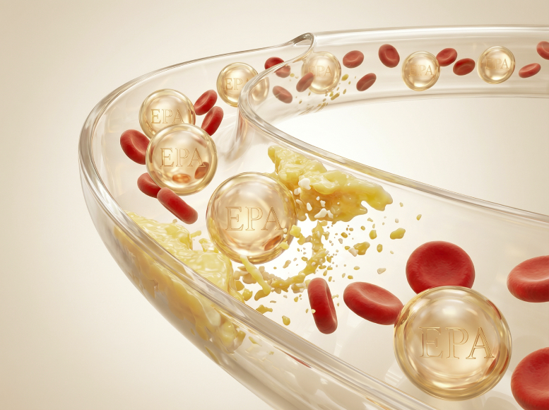 Supports Cardiovascular Health